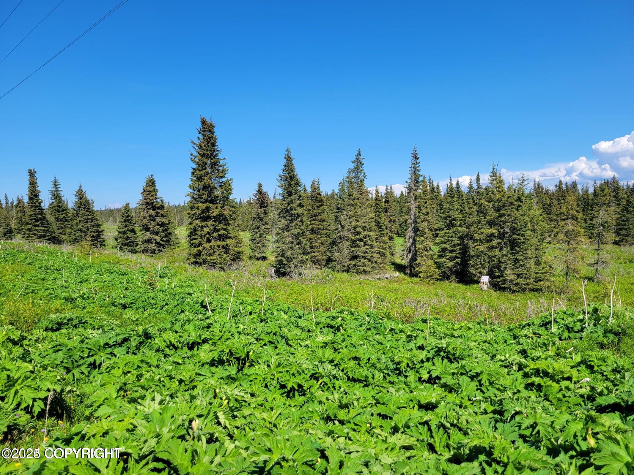 19870 Sterling Highway, Ninilchik, Alaska image 3