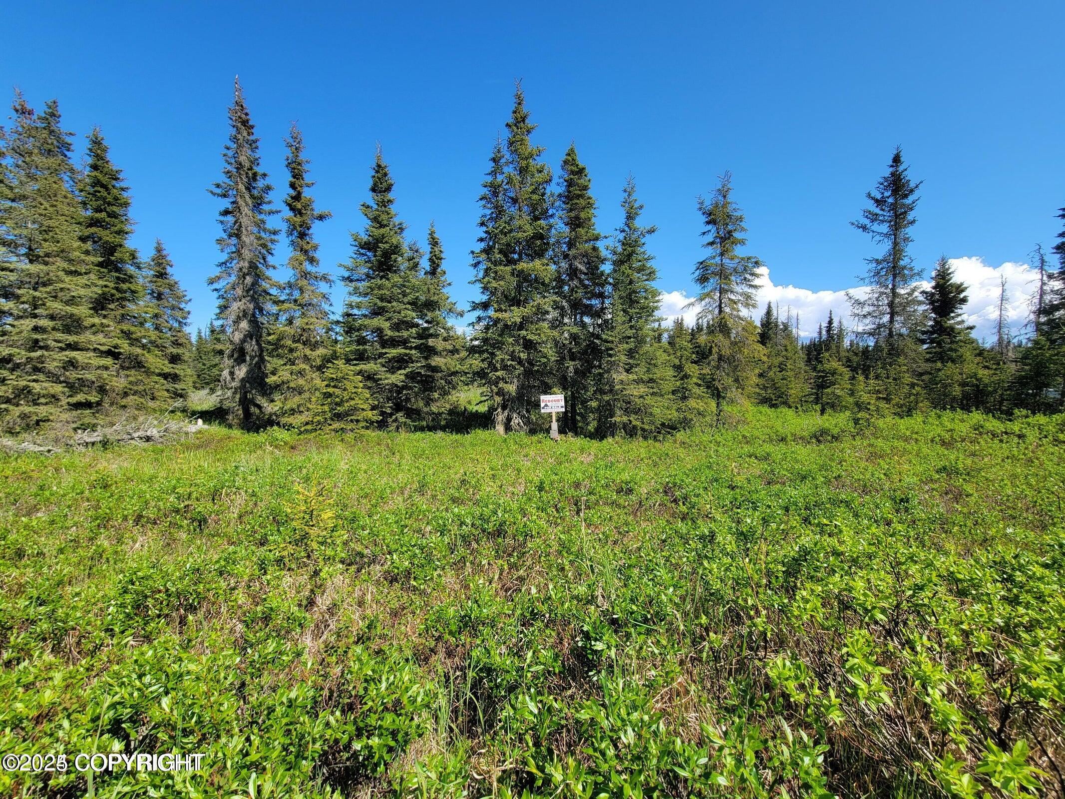 19870 Sterling Highway, Ninilchik, Alaska image 2