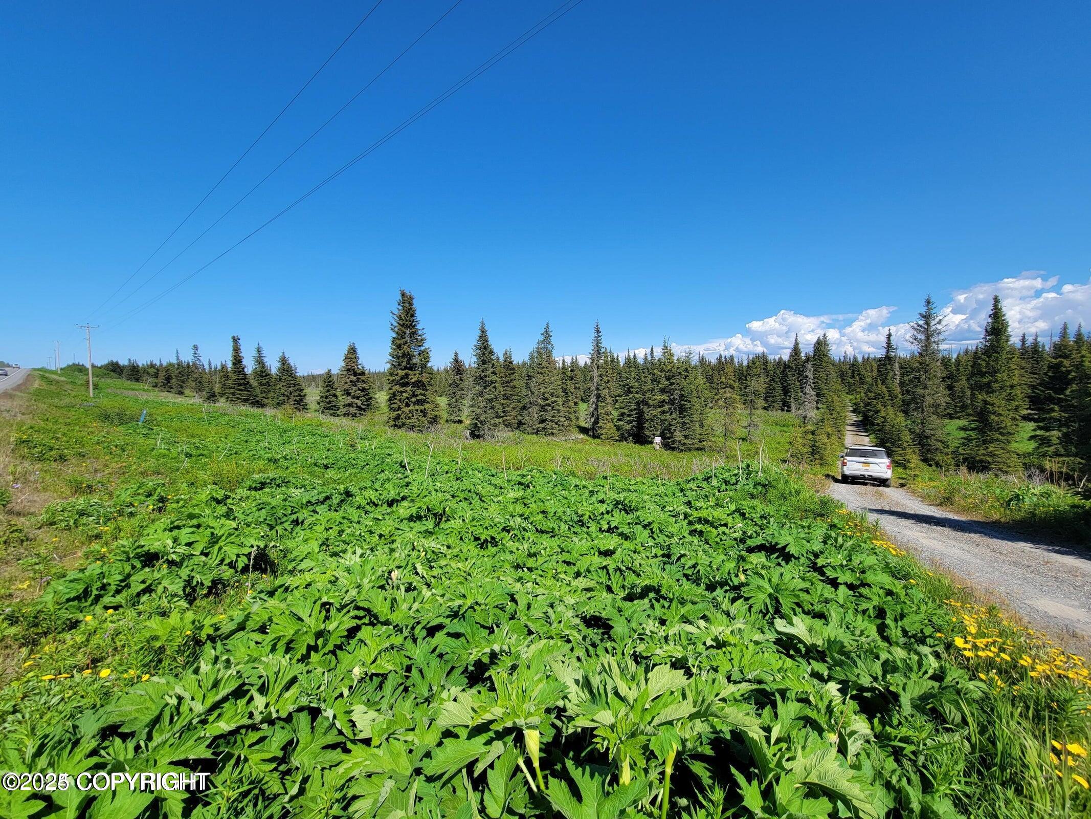 19870 Sterling Highway, Ninilchik, Alaska image 1