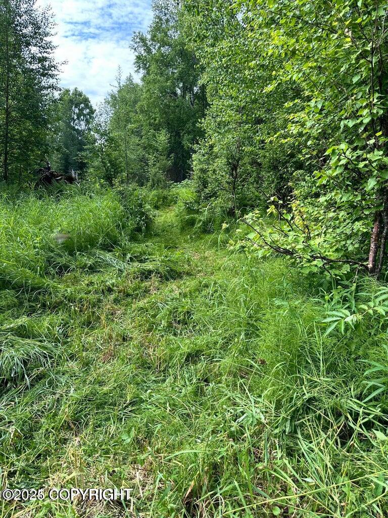 Trapper Creek, Alaska 99683, United States, ,Land,Active,161982