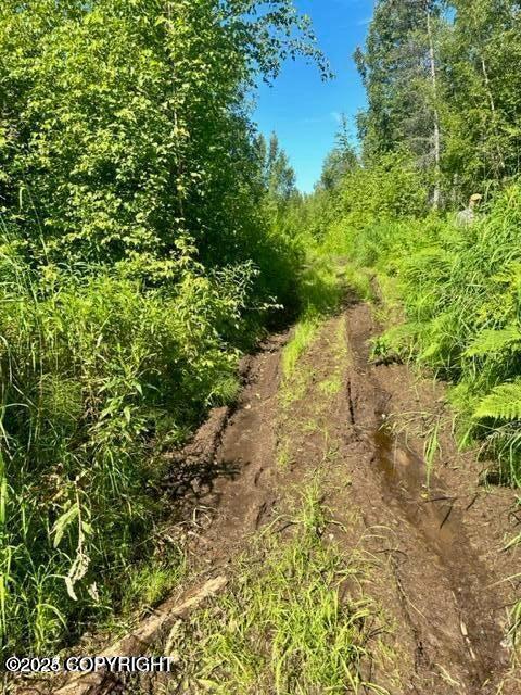 Trapper Creek, Alaska 99683, United States, ,Land,Active,161982