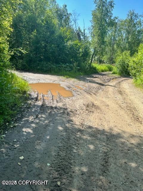 Trapper Creek, Alaska 99683, United States, ,Land,Active,161982