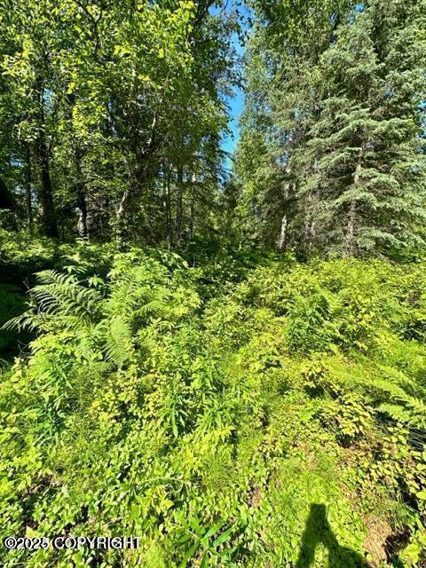 Trapper Creek, Alaska 99683, United States, ,Land,Active,161982