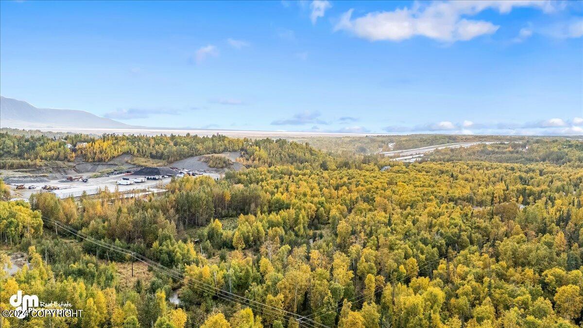 1058 S Hyer Road, Wasilla, Alaska image 9