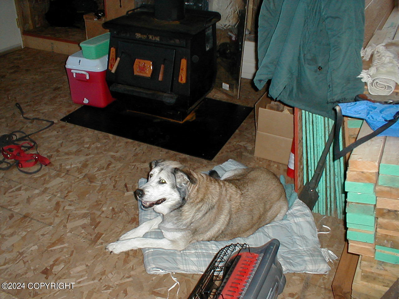 L18 B3 No Road, Skwentna, Alaska image 48
