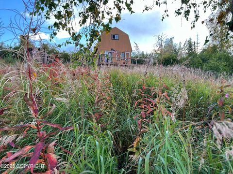 Homes For Sale - L18 B3 No Road<br/> Skwentna, AK 99667