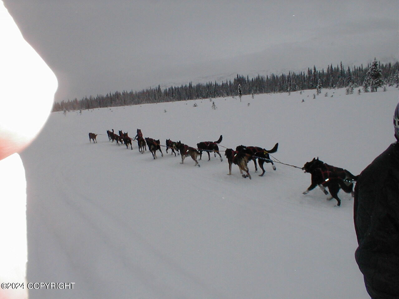 L18 B3 No Road, Skwentna, Alaska image 37
