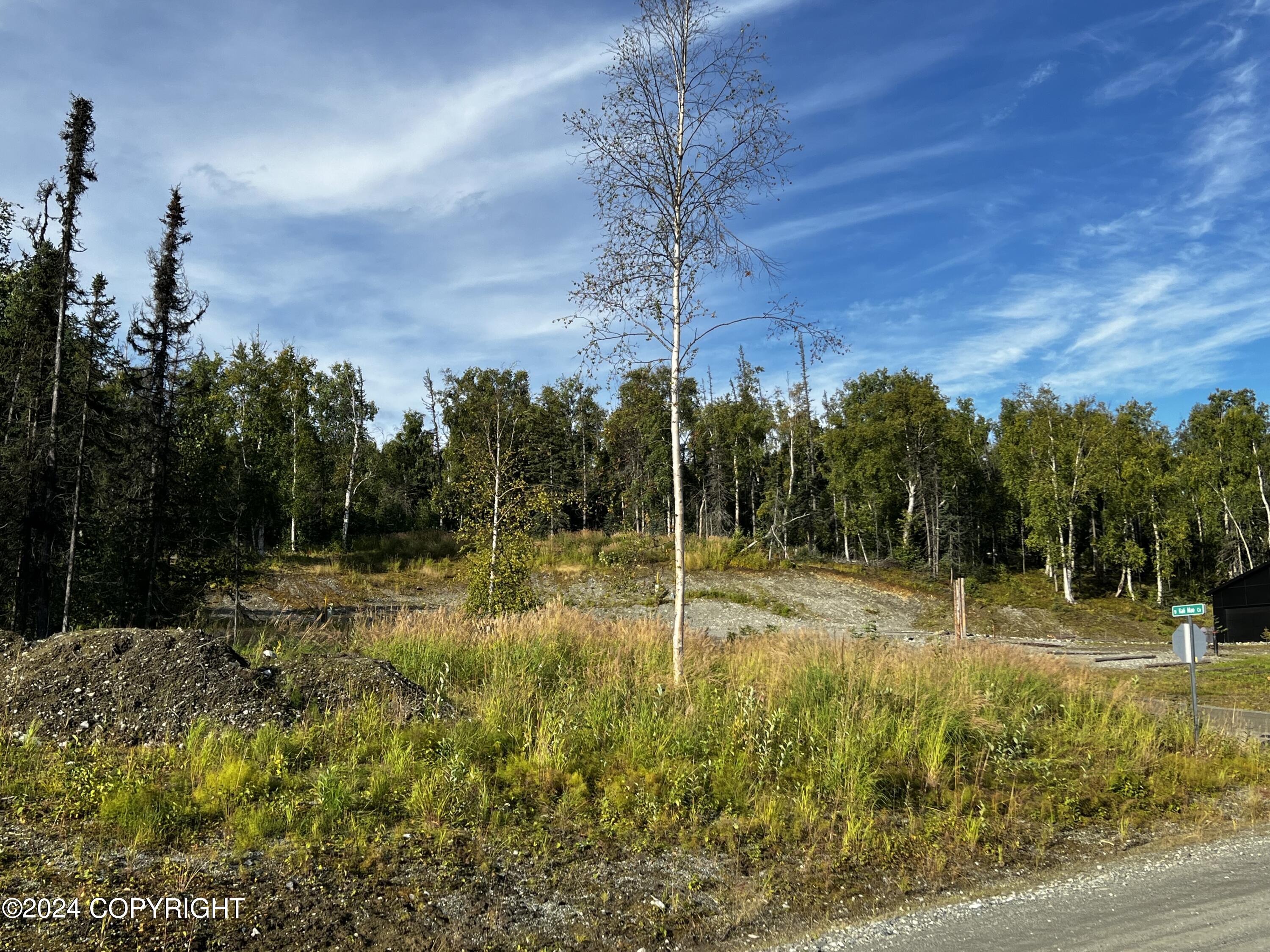 5283 W Kali Mae Circle, Wasilla, Alaska image 5