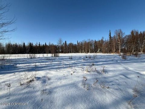 Vacant Land For Sale - 15270 E Peacefull Lane<br/> Palmer, AK 99645