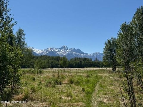Vacant Land For Sale - 15270 E Peacefull Lane<br/> Palmer, AK 99645
