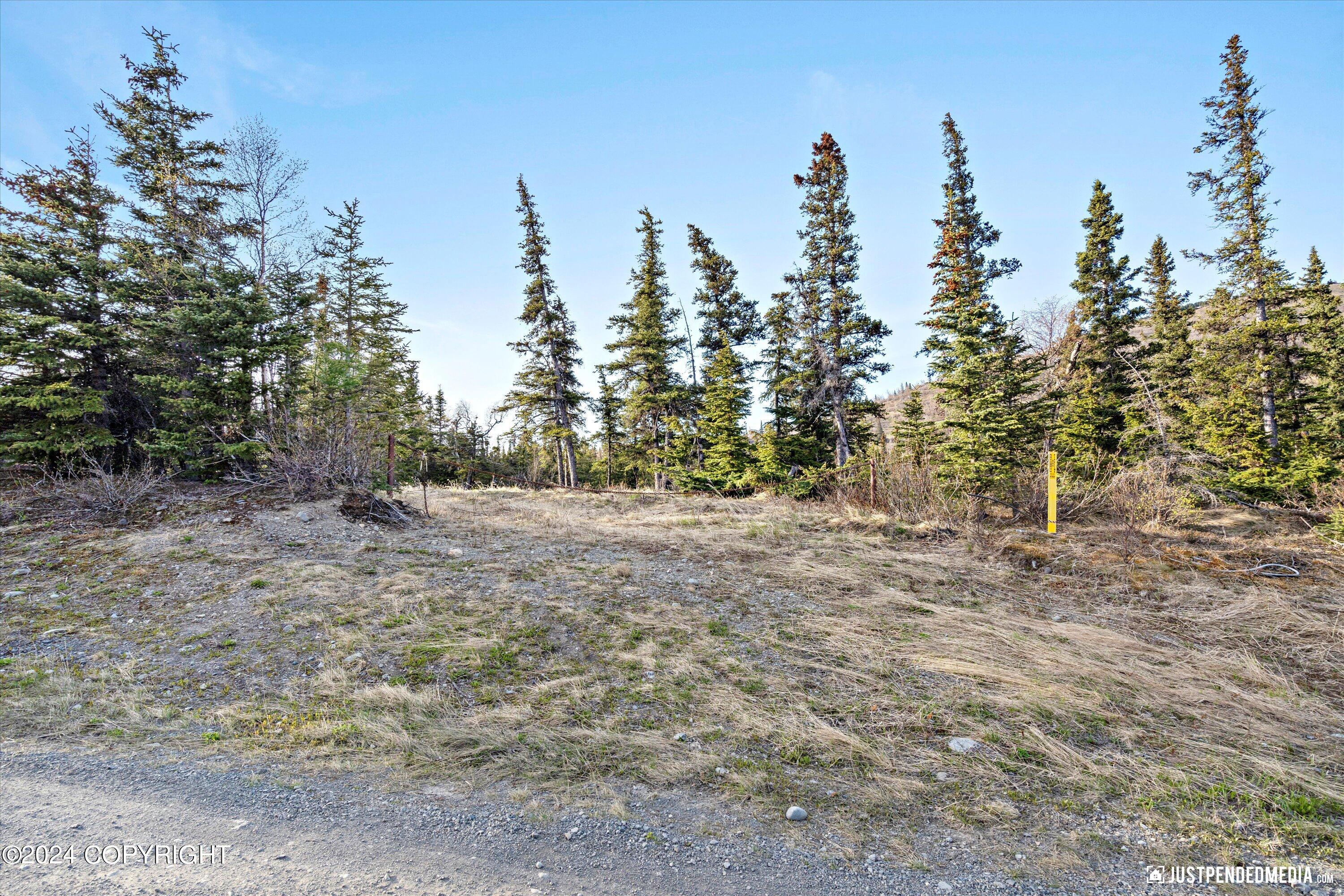 L33 B2 Finland Street, Anchorage, Alaska image 7