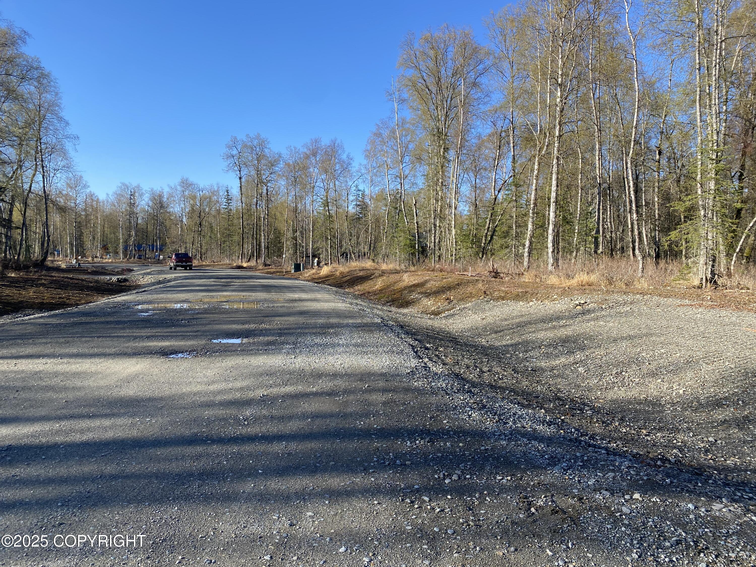 21154 S Morel Circle, Talkeetna, Alaska image 4