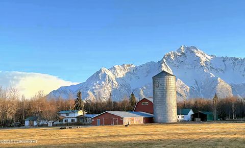 2930 S Bodenburg Loop Palmer AK 99654