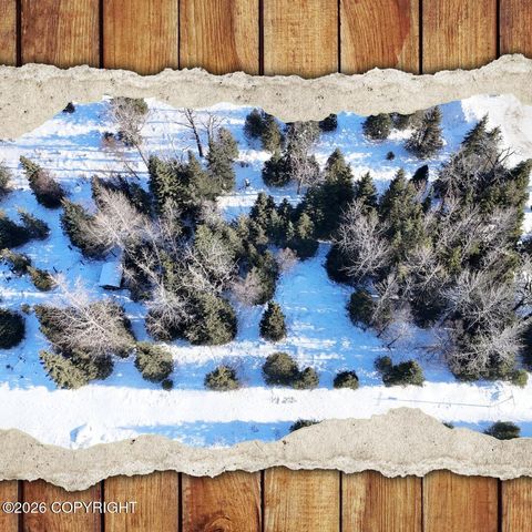 Vacant Land For Sale - 66597 Bach Avenue<br/> Ninilchik, AK 99639
