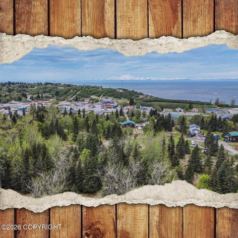 Vacant Land For Sale - 66597 Bach Avenue<br/> Ninilchik, AK 99639