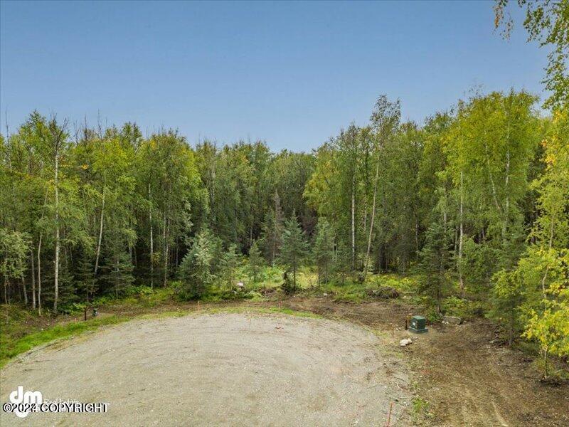 2158 N Saige Boulevard, Houston, Alaska image 3