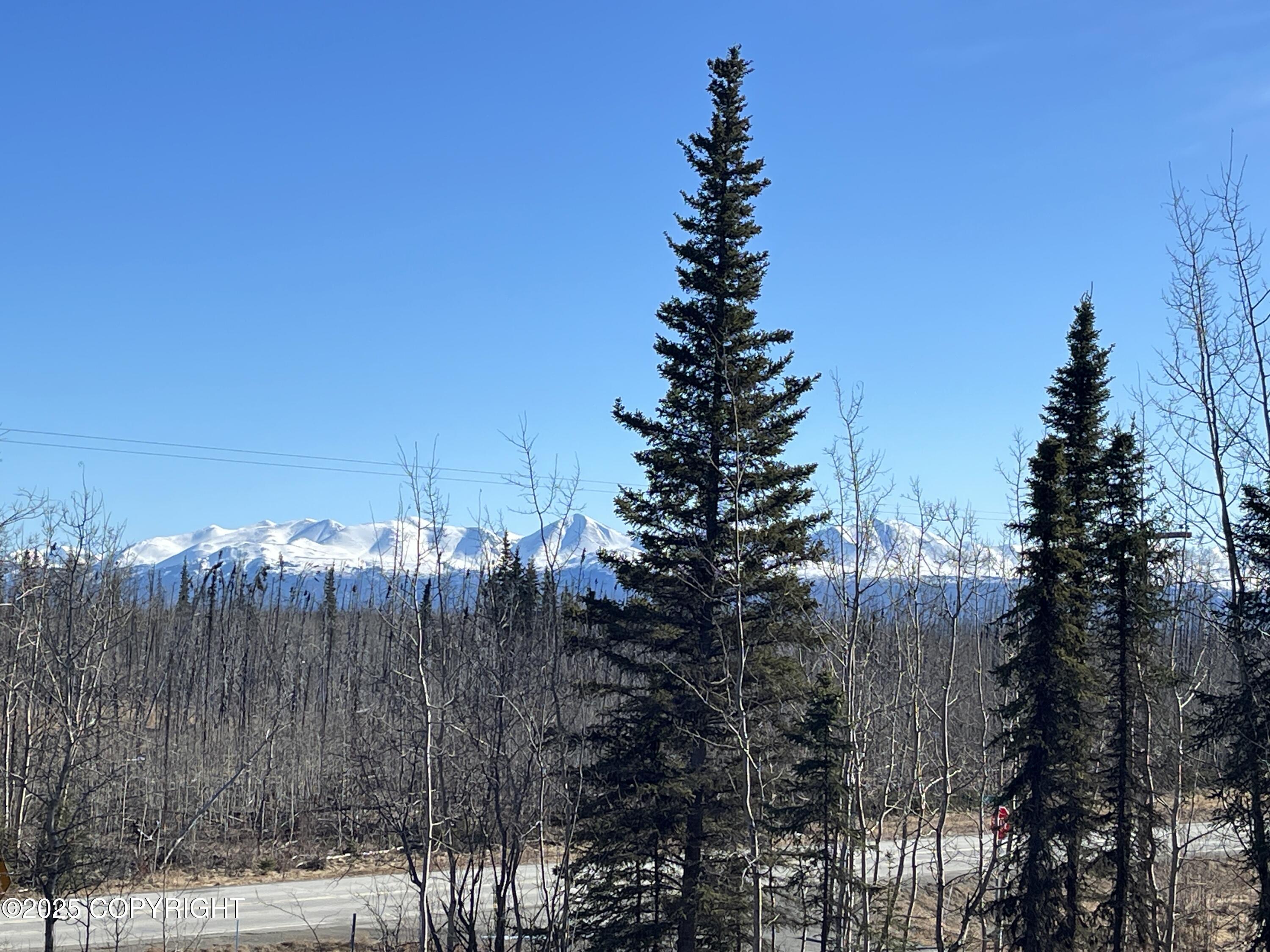30058 White Spruce Avenue, Sterling, Alaska image 36