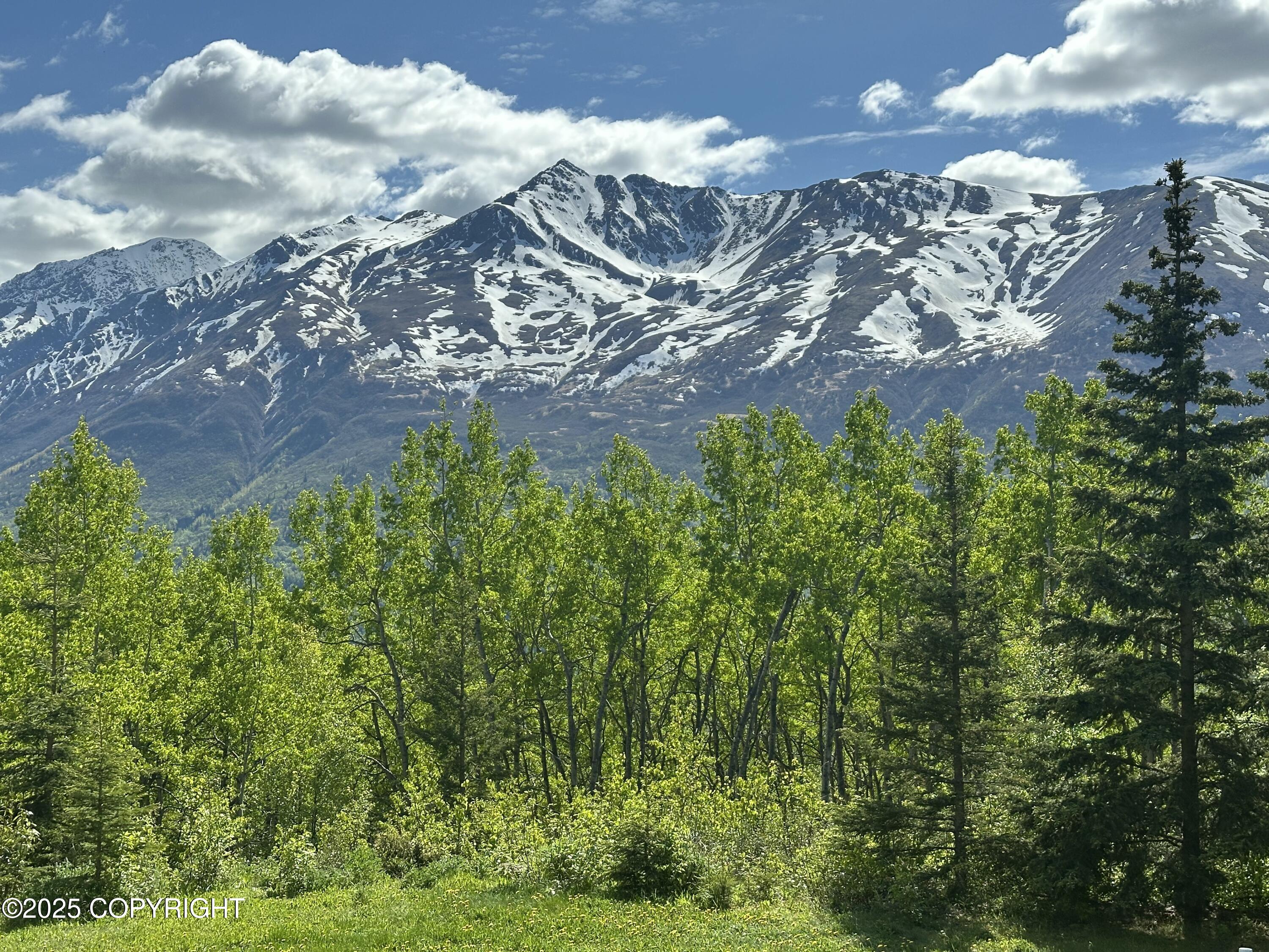 4477 Panther Drive, Eagle River, Alaska image 41