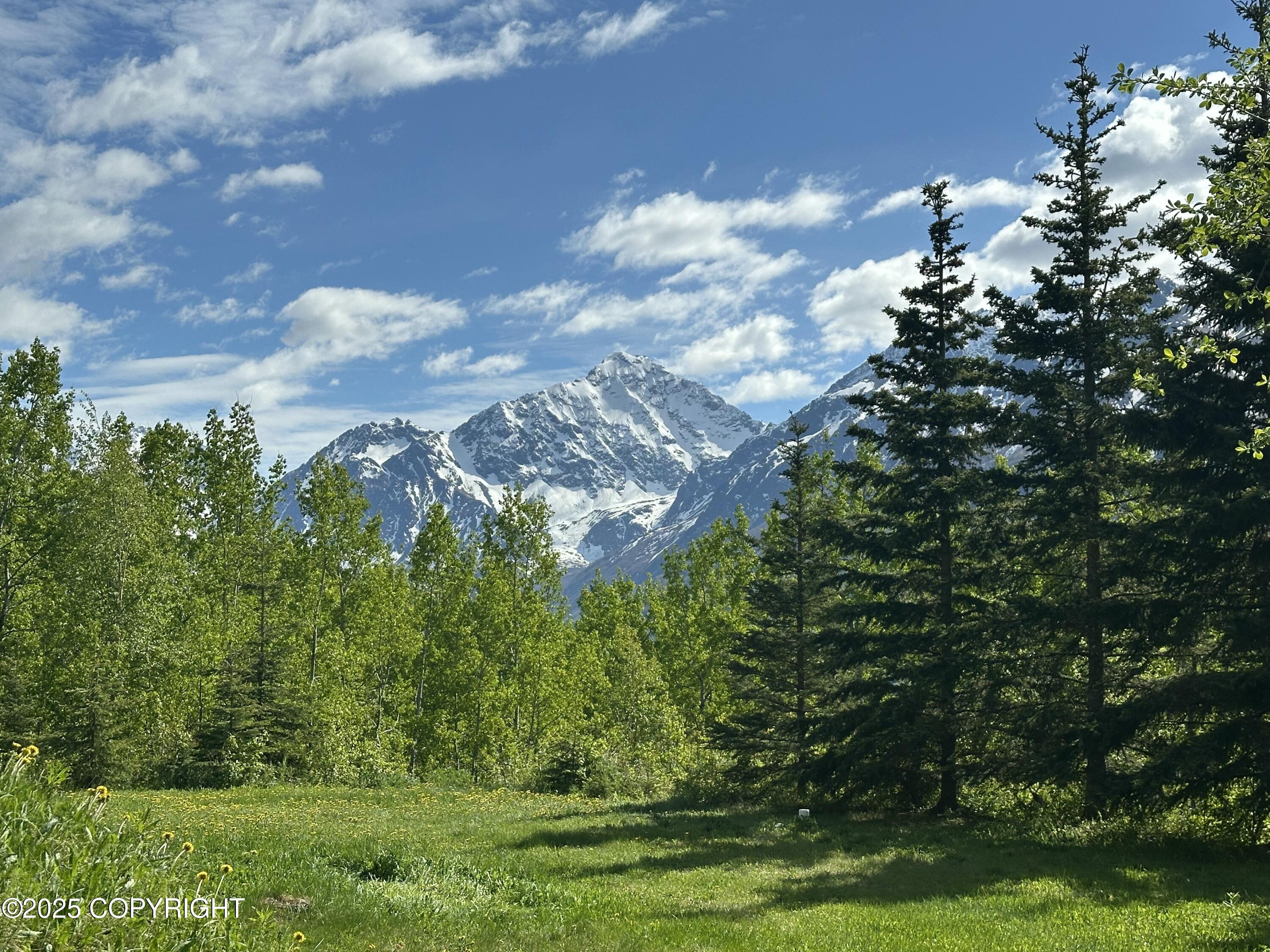 4477 Panther Drive, Eagle River, Alaska image 42