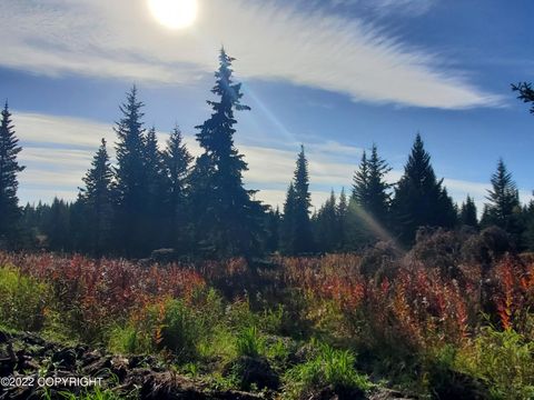 Vacant Land For Sale - 67741 Shavila Road<br/> Ninilchik, AK 99639