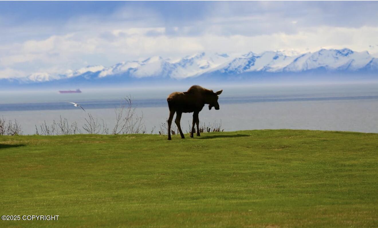 Ninilchik, Alaska 99639, United States, 9 Bedrooms Bedrooms, ,11 BathroomsBathrooms,Residential,Active,230303