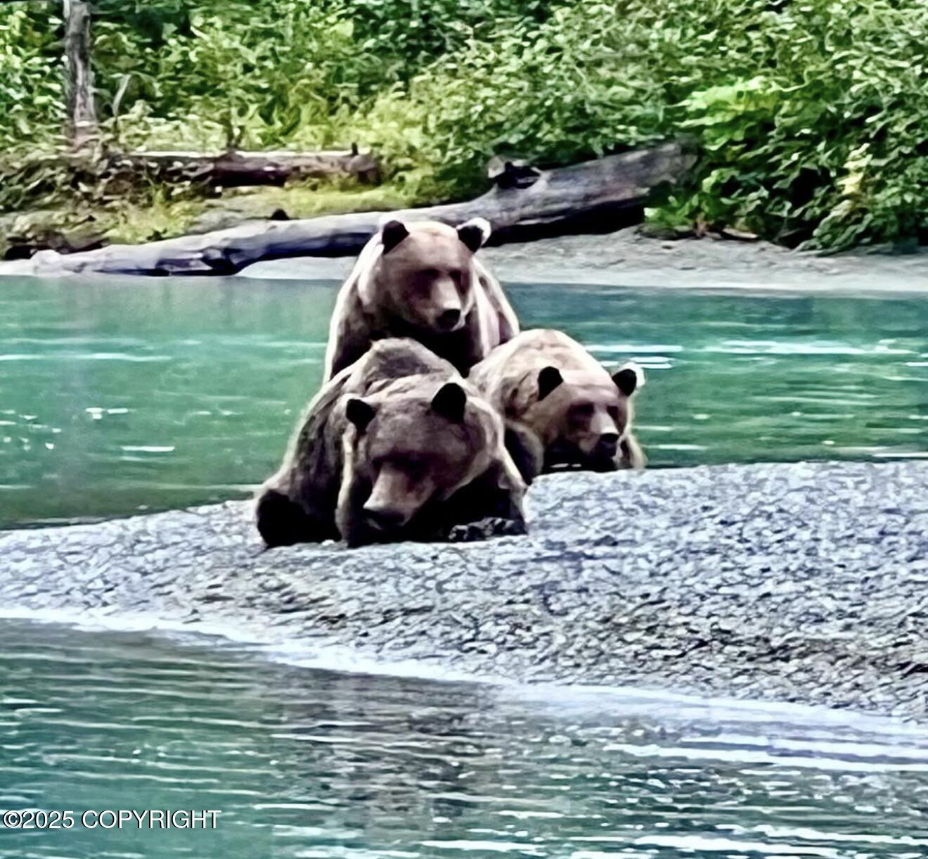 Ninilchik, Alaska 99639, United States, 9 Bedrooms Bedrooms, ,11 BathroomsBathrooms,Residential,Active,230303