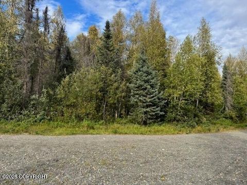 Vacant Land For Sale - 15785 E Greenleaf Drive<br/> Talkeetna, AK 99676