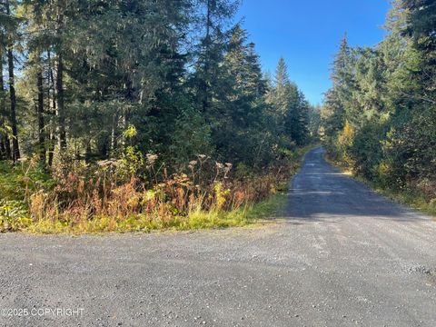 Vacant Land For Sale - L5A-3 Maximilian Drive<br/> Seward, AK 99664