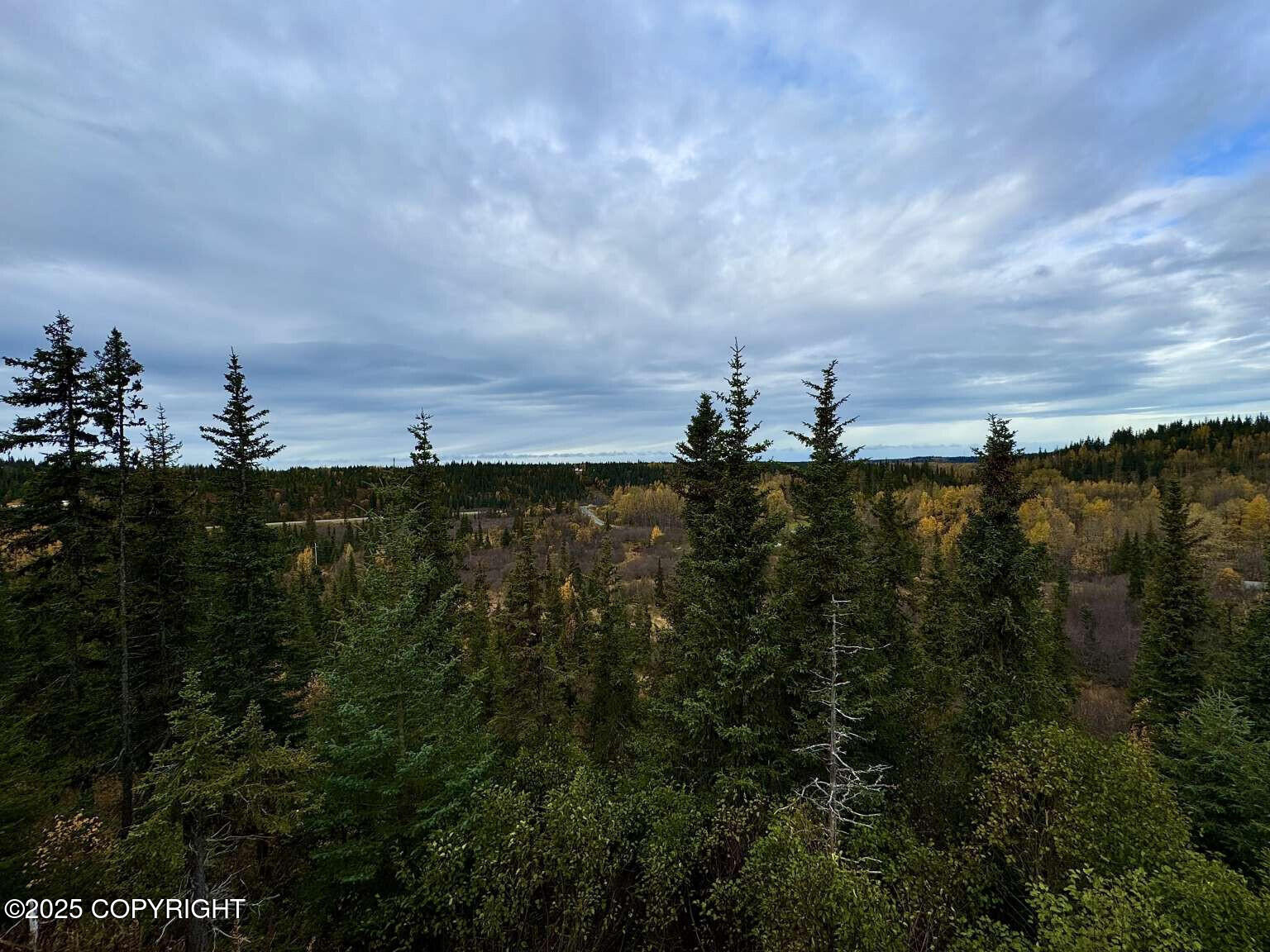 38919 Sayer Road, Anchor Point, Alaska image 30