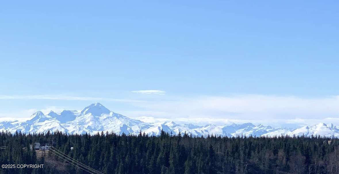 38919 Sayer Road, Anchor Point, Alaska image 17