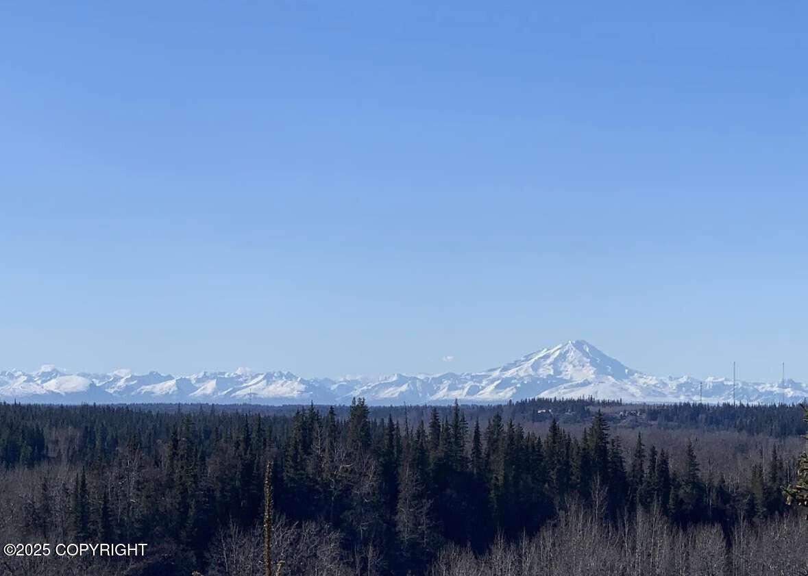 38919 Sayer Road, Anchor Point, Alaska image 18