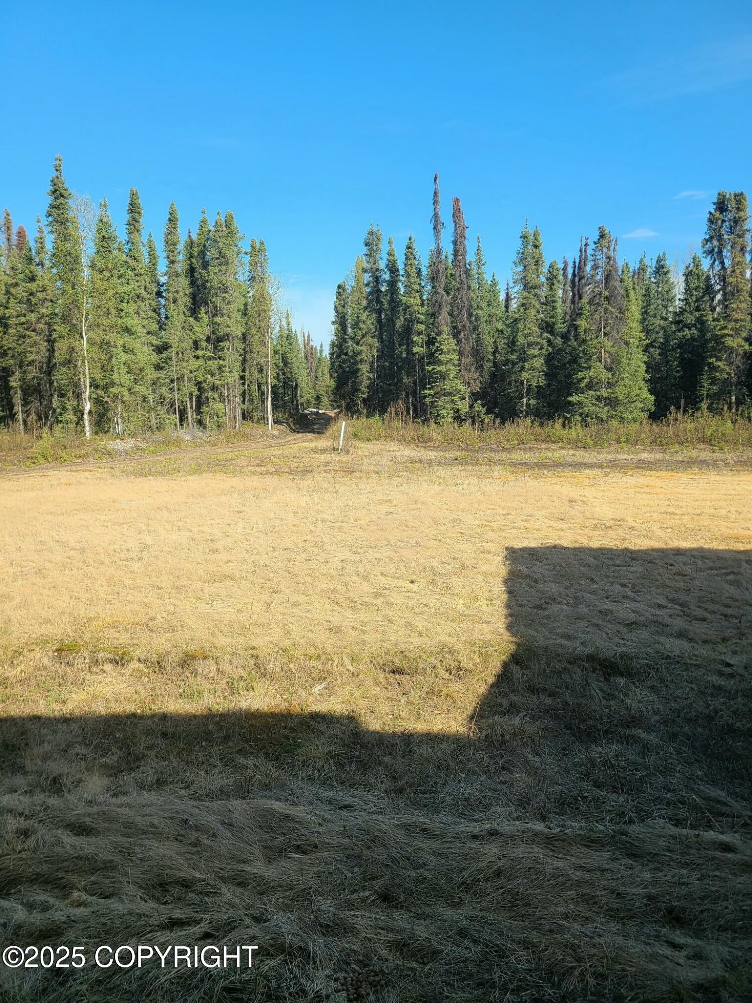 12770 W Armstrong Road, Houston, Alaska image 25