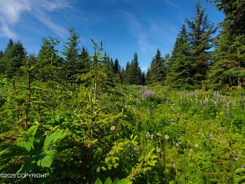 Homes For Sale - 17617 Kimeluk Street<br/> Ninilchik, AK 99639