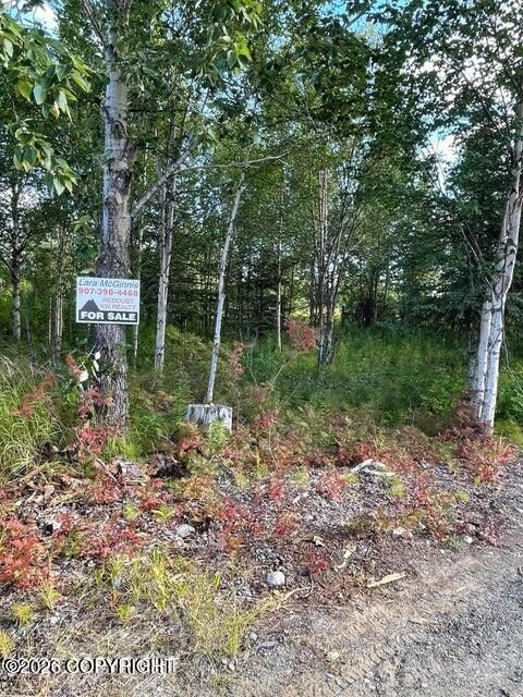 Photo of 25850 Stinkbug Street, Ninilchik, AK 99556 (MLS # 26-4996)