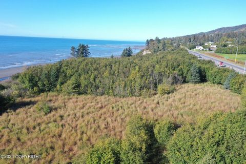 Vacant Land For Sale - 1129 Sterling Highway<br/> Homer, AK 99603