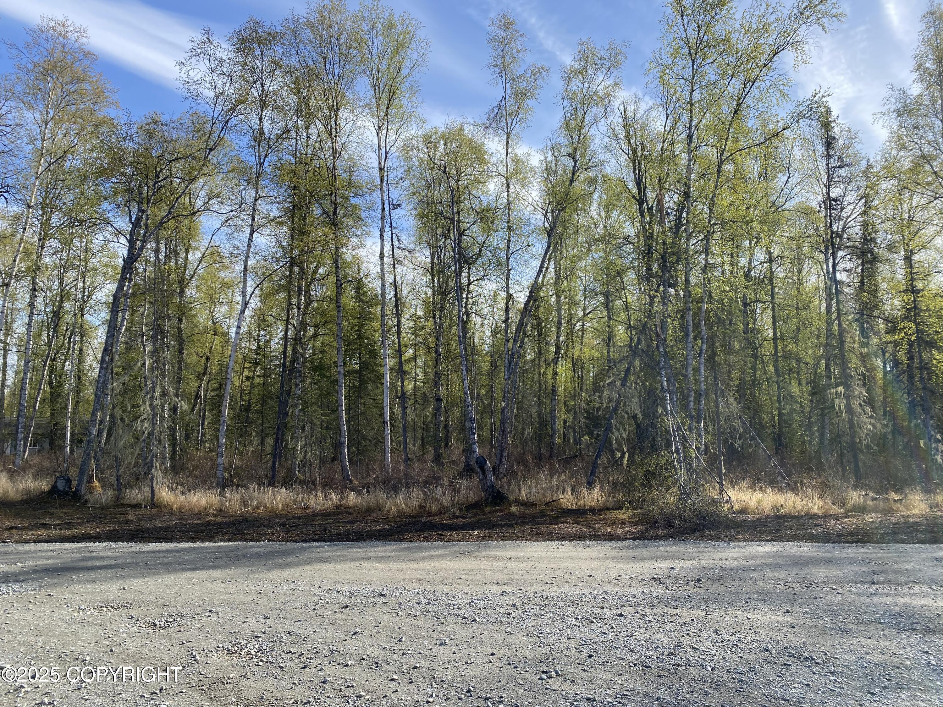 21233 S Morel Circle, Talkeetna, Alaska image 6