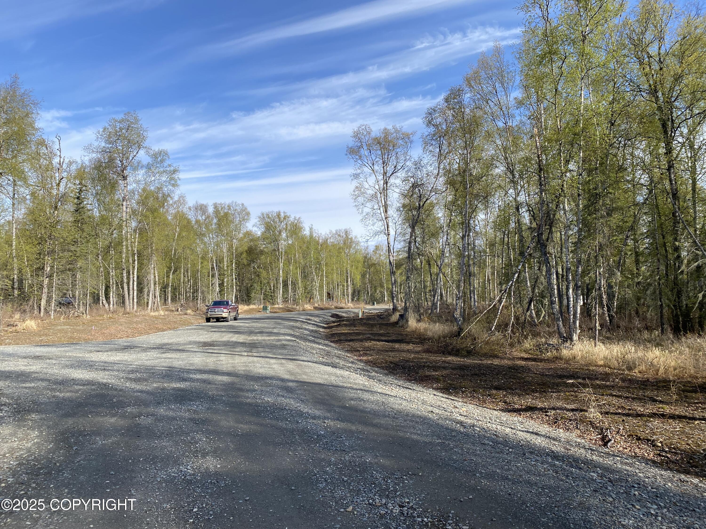 21233 S Morel Circle, Talkeetna, Alaska image 4