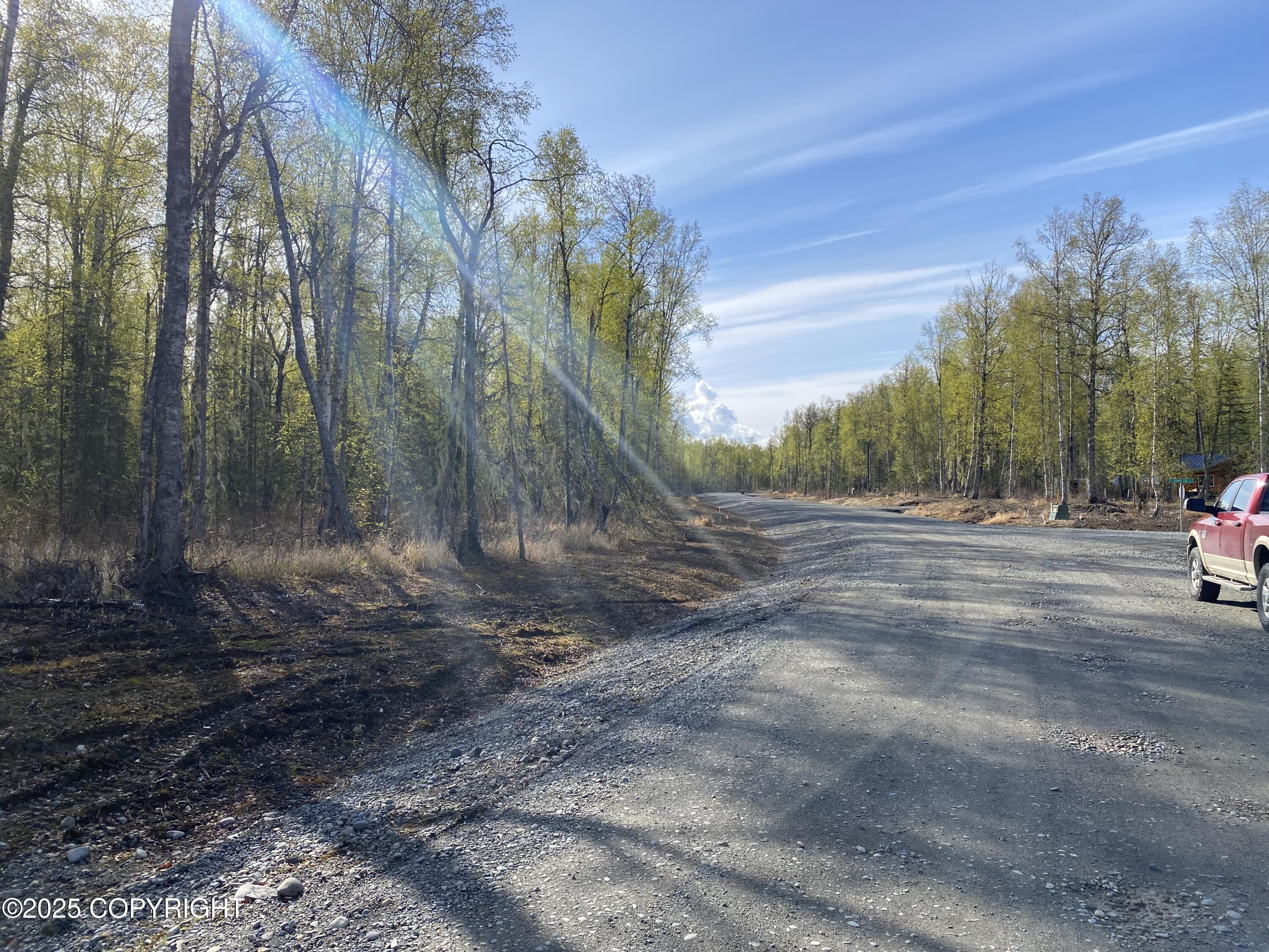 21233 S Morel Circle, Talkeetna, Alaska image 1
