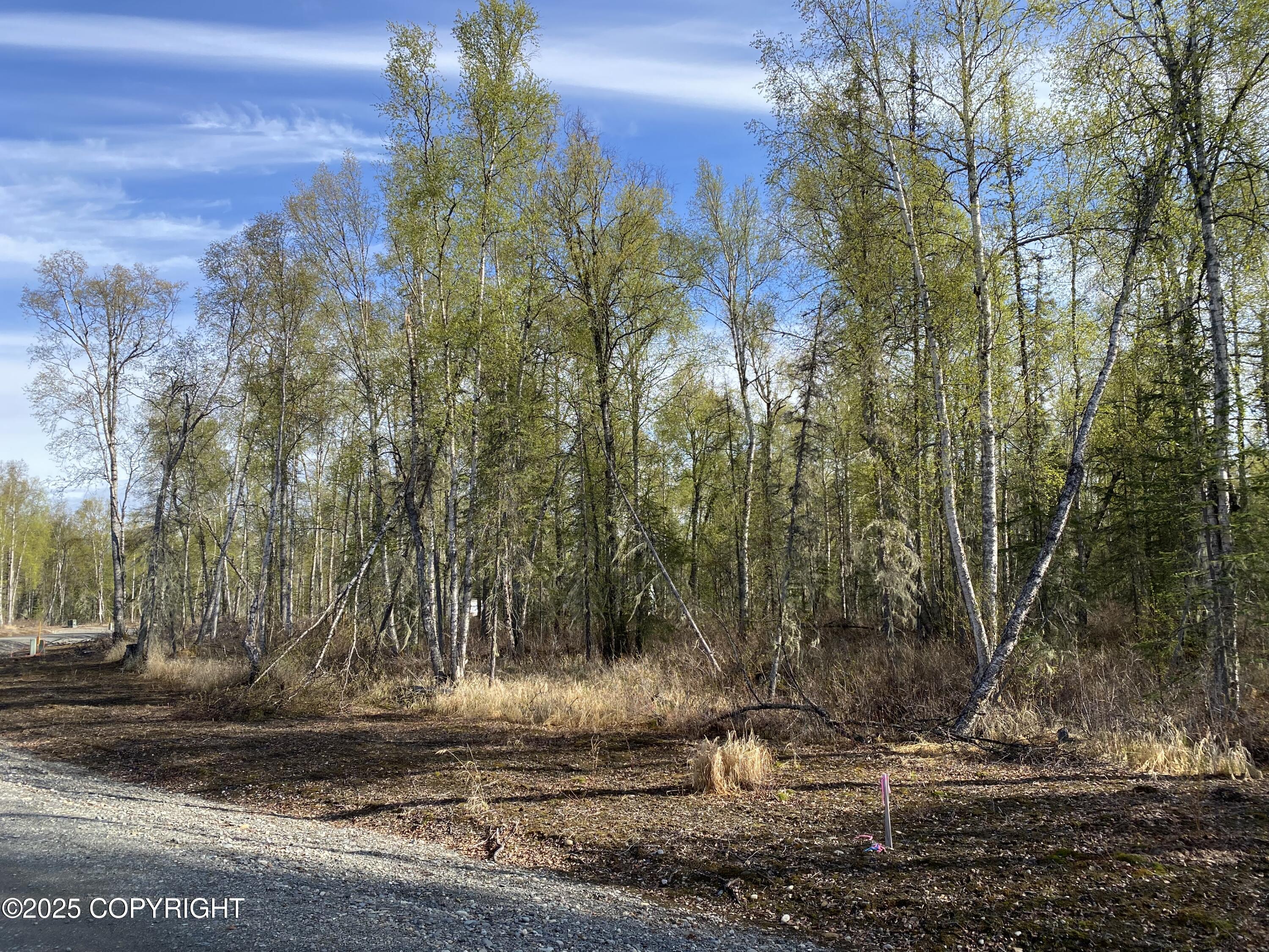 21233 S Morel Circle, Talkeetna, Alaska image 5