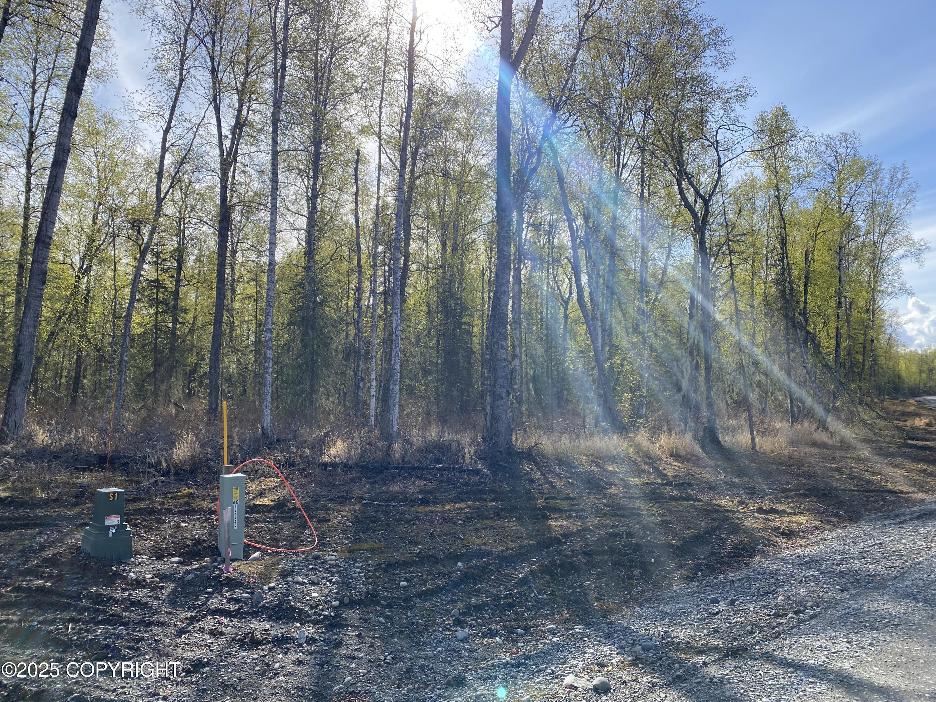 21233 S Morel Circle, Talkeetna, Alaska image 7