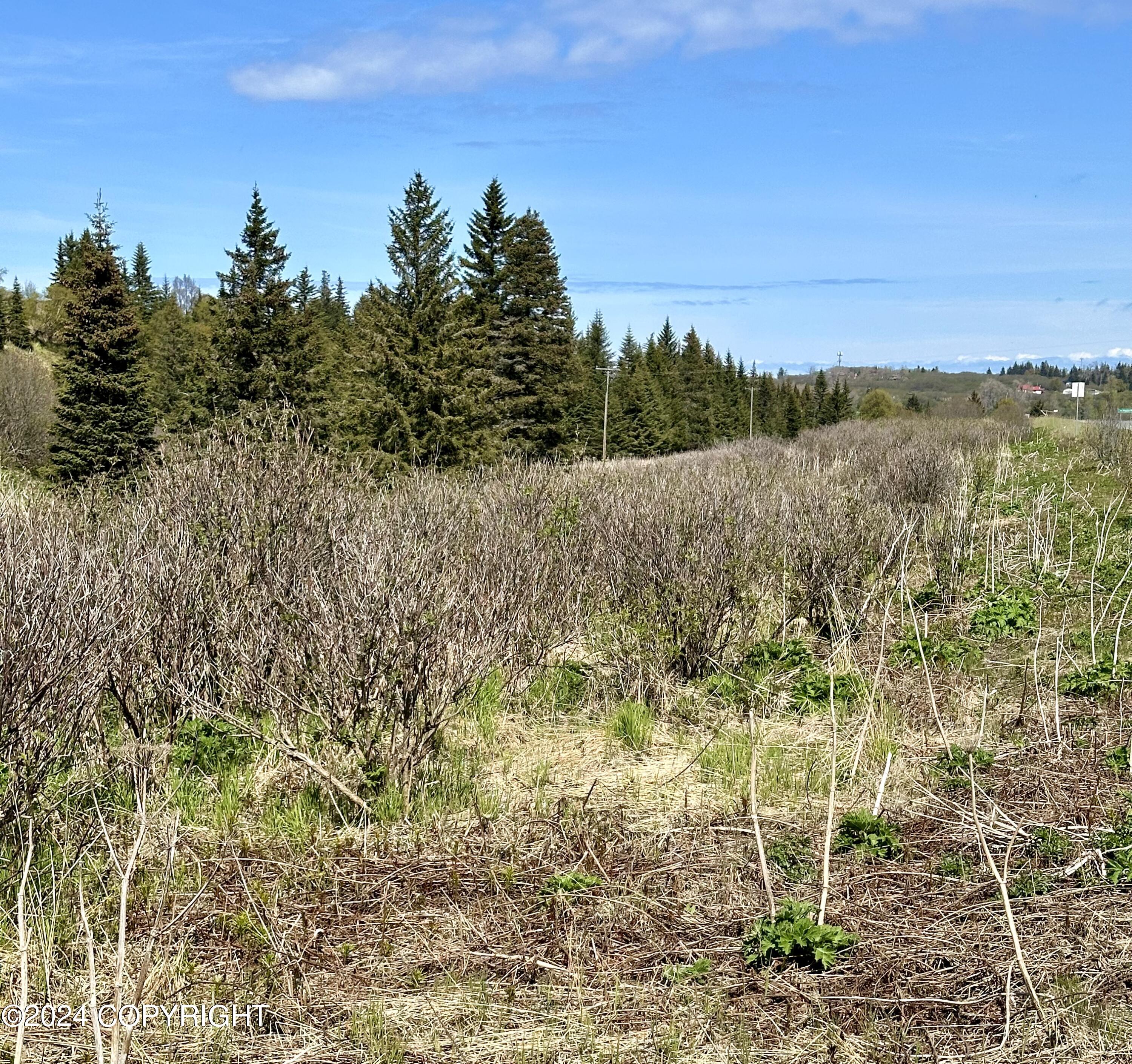 17187 Sterling Highway, Ninilchik, Alaska image 2