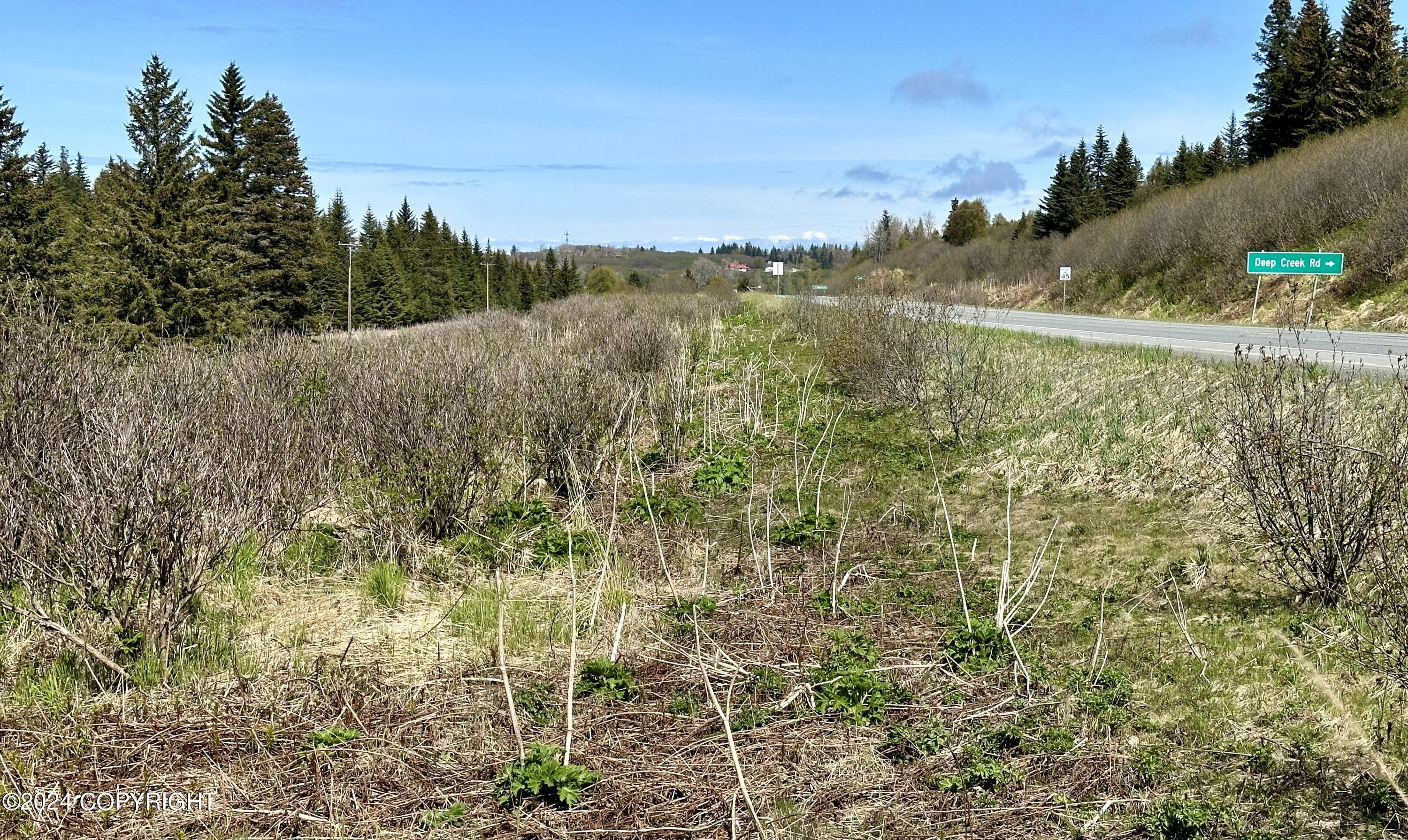 17187 Sterling Highway, Ninilchik, Alaska image 1