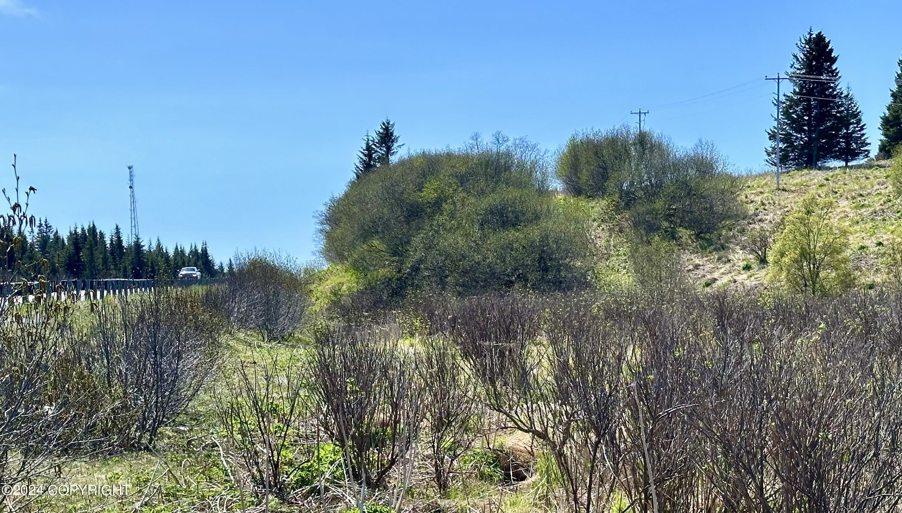 17187 Sterling Highway, Ninilchik, Alaska image 3