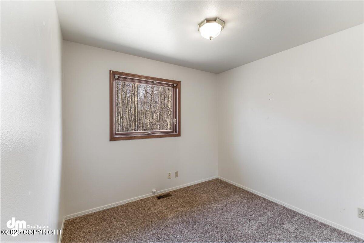 240 N Oscar Street, Palmer, Alaska image 32