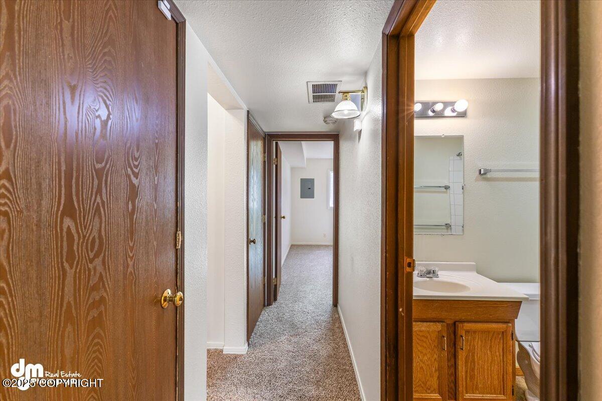 240 N Oscar Street, Palmer, Alaska image 27