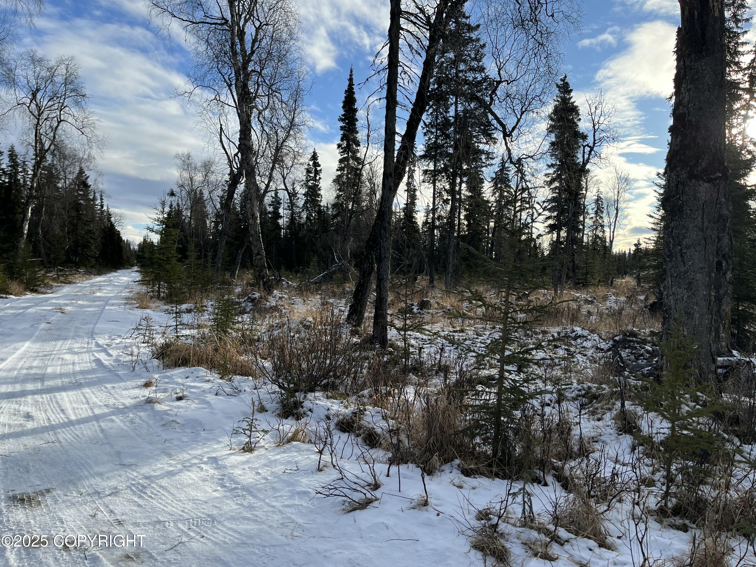 000 E Cohoe Lake Drive, Kasilof, Alaska image 28