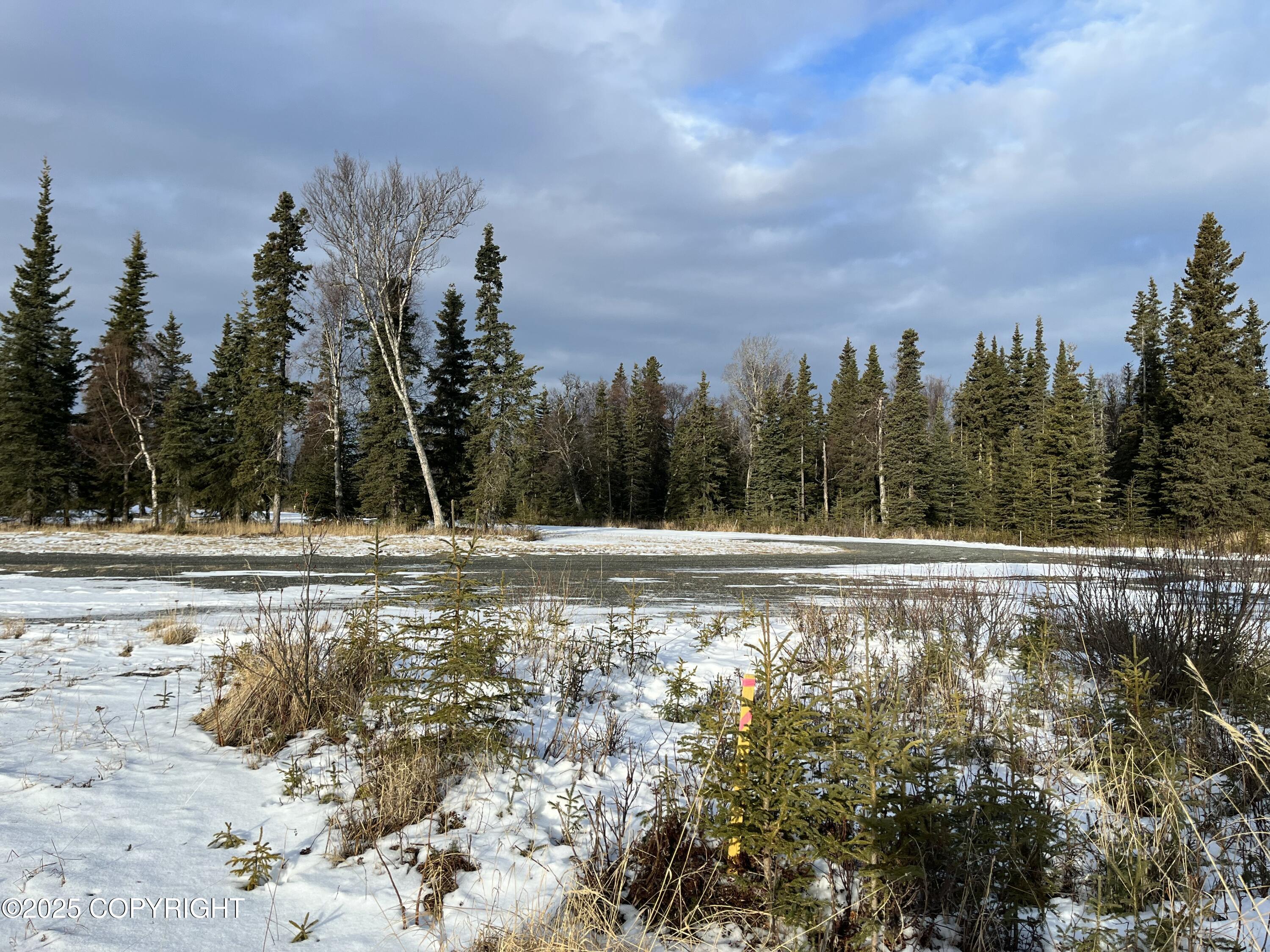 000 E Cohoe Lake Drive, Kasilof, Alaska image 35