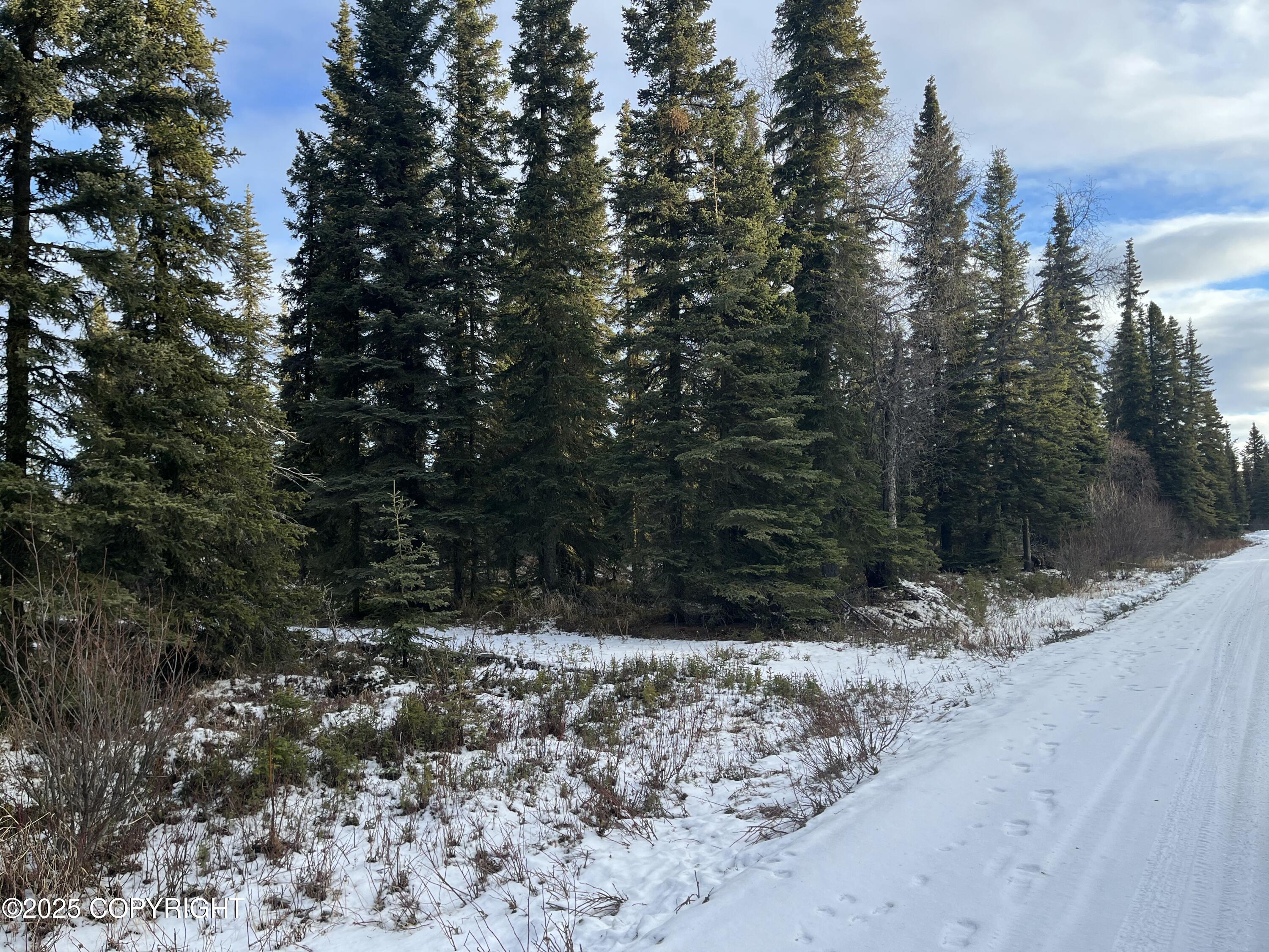 000 E Cohoe Lake Drive, Kasilof, Alaska image 11