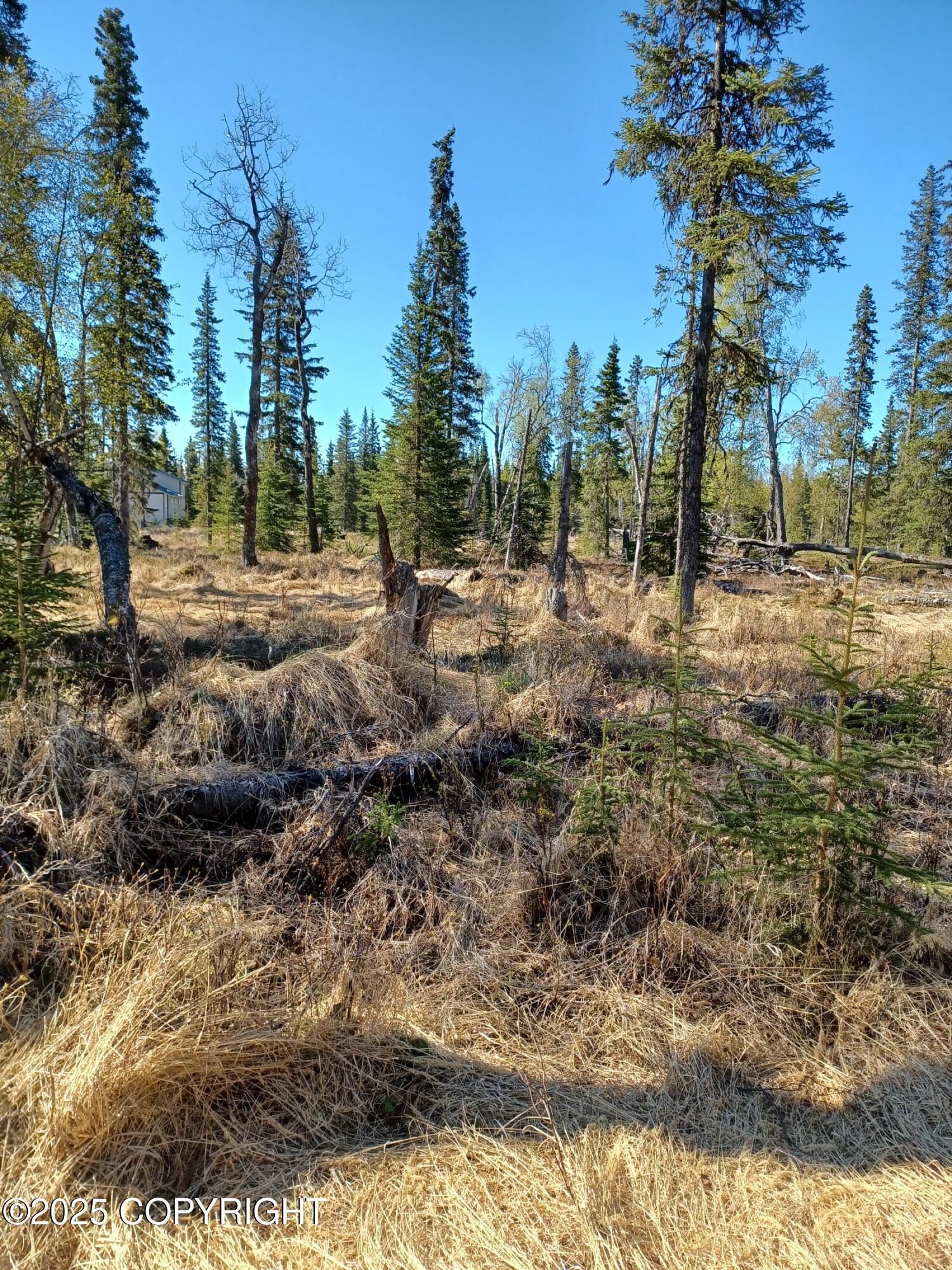 000 E Cohoe Lake Drive, Kasilof, Alaska image 42