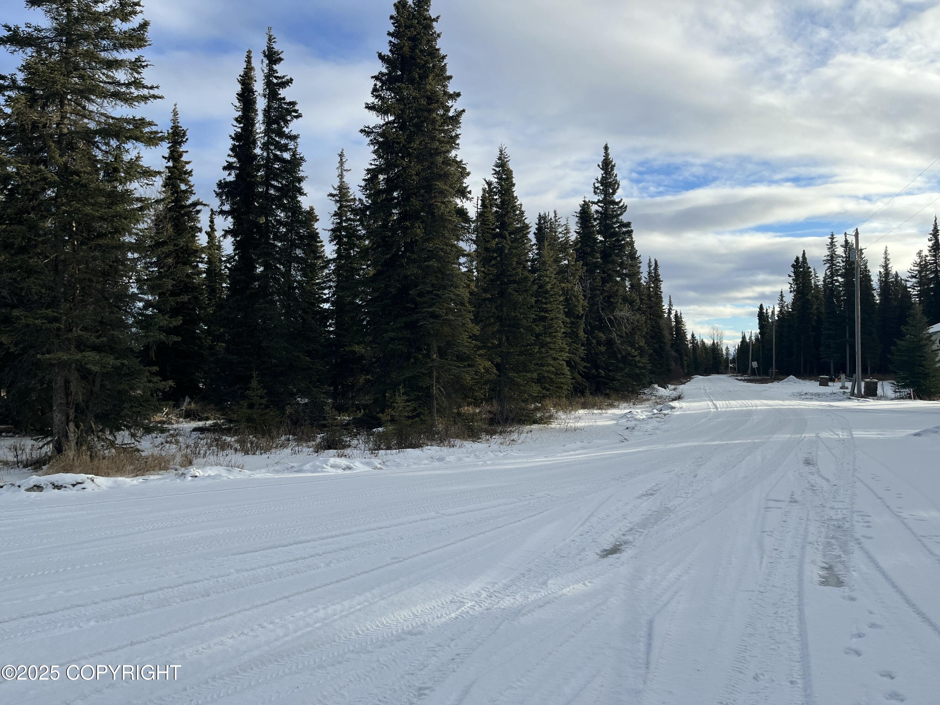 000 E Cohoe Lake Drive, Kasilof, Alaska image 8